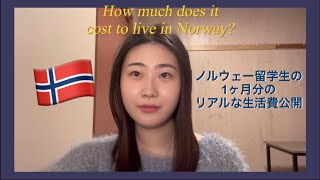 【北欧留学】ノルウェー留学生のリアルな生活費公開動画🇳🇴 [upl. by Hengel]