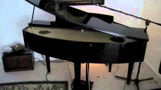 Suzuki MDG100 Micro Grand Piano [upl. by Eilis]