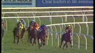 1987 Hennessy Cognac Gold Cup Handicap Chase [upl. by Dorsman57]