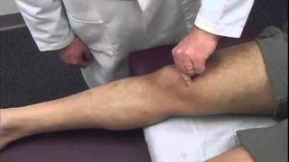 Patellar Inhibition Test [upl. by Zoes]