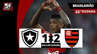 BOTAFOGO 1X2 FLAMENGO  GOLS DO MENGÃO  NARRAÇÃO RAFA PENIDO  BRASILEIRÃO 2023 [upl. by Senn474]