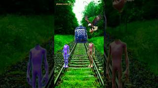 Dame tu cosita funny train attack cat drive and short dametucosita funny vfx viralshorts short [upl. by Kirschner]