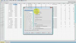SPSS VideoSeminar  Teil 15 Datenexploration  Sortieren Splitten [upl. by Eerrehc]