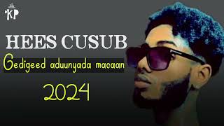 Walid Hassan  GIDIGEED ADUUNYADA MACAN  audio official  2024 [upl. by Riker]