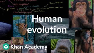 Human evolution overview  Life on earth and in the universe  Cosmology amp Astronomy  Khan Academy [upl. by Ayihsa]