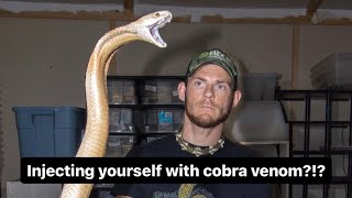 Injecting yourself with cobra venom [upl. by Anaerda]