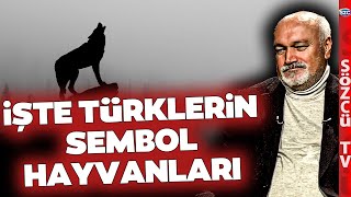 Pars Kurttan Daha Yaygın Ahmet Taşağıl Türklerin Sembol Hayvanlarını Anlattı [upl. by Teirrah340]