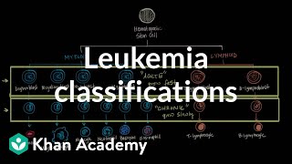 Leukemia classifications  Hematologic System Diseases  NCLEXRN  Khan Academy [upl. by Rennob]