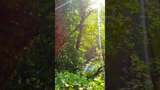 Explore Cromford and Matlock Bath Beautiful Walks Condensed into 1 Minute EnglishCountryside [upl. by Su]