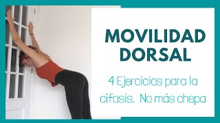 FisioConsejo MOVILIDAD DORSAL 6min 4 Ejercicios para la CifosisChepa [upl. by Rodie293]