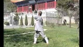 Chi kung  yi jin jing del Monje Shaolin bodhidharma [upl. by Abrahamsen]