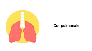 Lungenherz Cor pulmonale  Erkrankungen der Atemwege [upl. by Drogin]