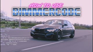 How to use BimmerCode  Quick amp Easy Tutorial [upl. by Shelman]