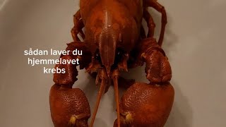 sådan laver du hjemmelavet signalkrebs 🦞🦞🦞🦞🦞🦞 [upl. by Benia266]