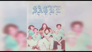 SAGLE Band  Full Album [upl. by Sinoda671]