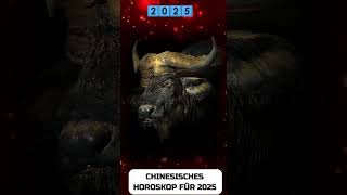 Büffel Chinesisches Horoskop für 2025 [upl. by Ecnatsnok]