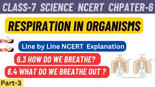 Class 7 Science Chapter 6 Respiration in Organisms line by line NCERT Explanation  Part 3 [upl. by Jaquith]