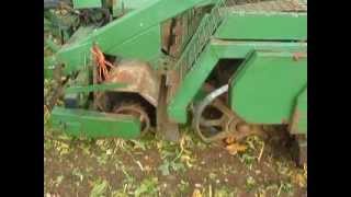 Beet Harvesting 20111 [upl. by Vasiliki]