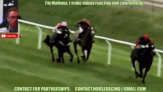 Lingfield FULL races Nov 12 2024  Horse Racing [upl. by Ramedlab9]