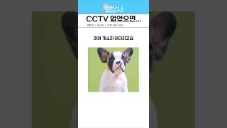 씨씨티비 없었으면cctv [upl. by Hadley]