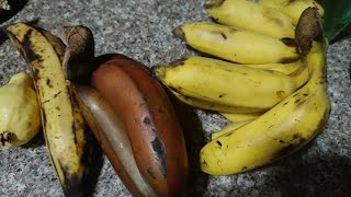 Peeling Cutting Banana ASMR  slicing amp serve banana 🍌🍌 satisfying  banana fruits [upl. by Rodman]