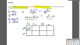 Epistasis Sample problem 2 [upl. by Eagle]