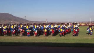 2016 Umhlanga Reed Dance ceremony in Swaziland [upl. by Donavon117]