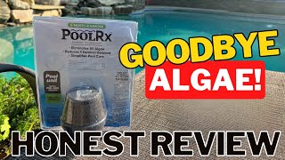 HOW TO Get Rid of Pool Algae For Good  PoolRx Review  POOL SERIES [upl. by Mathilde]