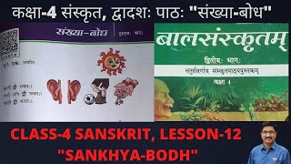 संख्याबोध द्वादशः पाठः बालसंस्कृतं कक्षा 4 SANKHYA BODH CLASS 4 SANSKRIT TWELTH LESSON [upl. by Sherj]