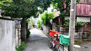 東高円寺の住宅街を散歩【4K東京街歩き】Japan Tokyo 4K walkingtourHigashikoenjiresidentialarea [upl. by Danforth123]