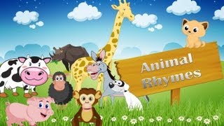 Animal Rhymes Medley  Collection of 15 Rhymes  Vol 1 [upl. by Neoma725]