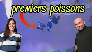 Les PREMIERS poissons Arrivent dans notre AQUARIUM [upl. by Hoeg]