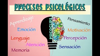 Procesos Psicológicos  ¿Qué es ¿Cómo funcionan EjemploResumenLibros [upl. by Virg]