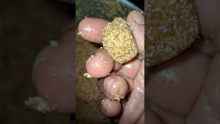 Kobbari laddutraditionalfeed recipesshortsvideoviralvideoyoutubeshorts [upl. by Anitsej]