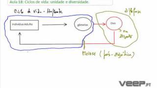 Biologia e Geologia 11º ano [upl. by Willetta]