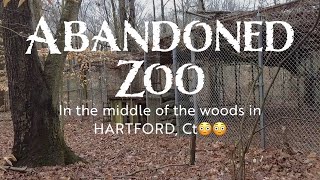 We Found an Abandoned Zoo Hidden in The Woods of Hartford CT  WHAT WENT ON HERE [upl. by Selbbep]