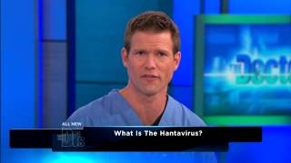 Symptoms of Hantavirus  The Doctors [upl. by Porush]