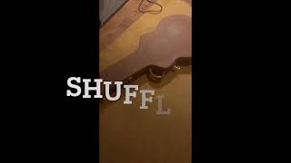 SHUFFLE 65  Gibson 335 [upl. by Adnyl277]