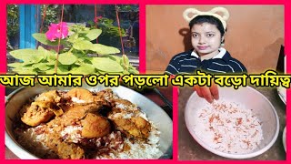 Bengali Vlog Aj barite holo chiken biriyani  amar holo ek baro daitto By Anjali From Village [upl. by Ratib]