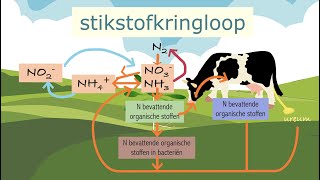 De stikstofkringloop [upl. by Nuaj]