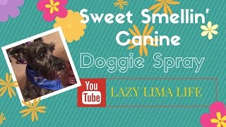 Sweet Smelling Canine  DIY Dog Freshener Spray  EASY [upl. by Stoughton690]