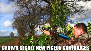 Crows secret new pigeon cartridges [upl. by Idnahc]