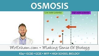 Osmosis  GCSE Biology 91 [upl. by Warrick]