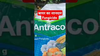 Antracol प्रीवेंटिव फफूंदीनाशक [upl. by Nahtiek]