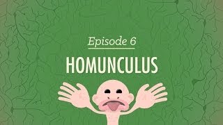 Homunculus Crash Course Psychology 6 [upl. by Pandich217]