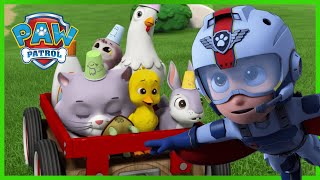 Aqua Pups Save the Whale Patroller  PAW Patrol Episode  Cartoons for Kids [upl. by Niltac697]