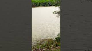 Pantano de Foix Castellet dia 111 pov ambientmusic relax agua [upl. by Cassandry808]