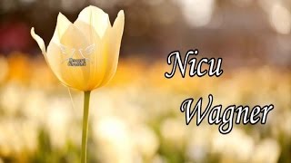 Nicu Wagner  Colaj cu cantari crestine noi [upl. by Onifled]