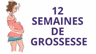 12 SEMAINES DE GROSSESSE OU Douzième semaine de grossesse [upl. by Waechter]