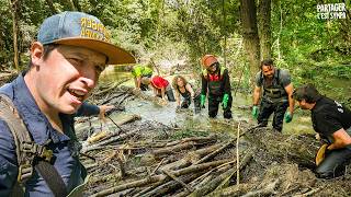 Chantier Castor avec Baptiste Morizot  la rivière RÉPOND FORT [upl. by Akemal]